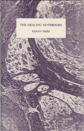 Item #17518 The Healing Notebooks. Kenny Fries