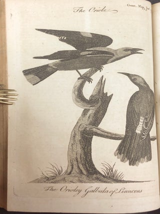 Phillis Wheatley's "On Recollection" in The Gentleman's Magazine: and Historical Chronicle. Volume XLIII. For the Year MDCCLXXIII.