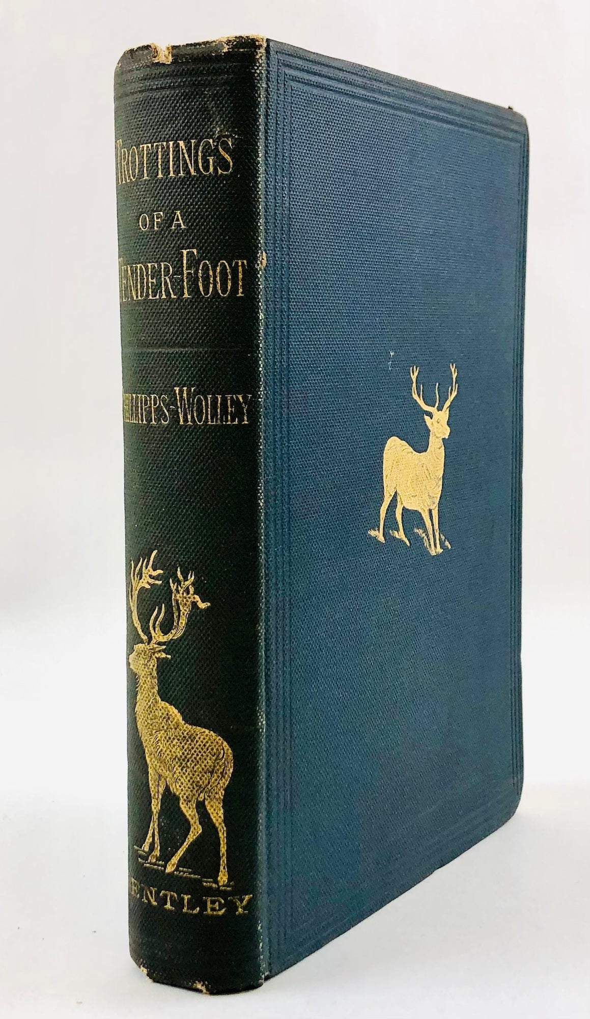 Phillipps-Wolley, Clive - The Trottings of a Tenderfoot; or, a Visit to the Columbian Fiords and Spitzbergen